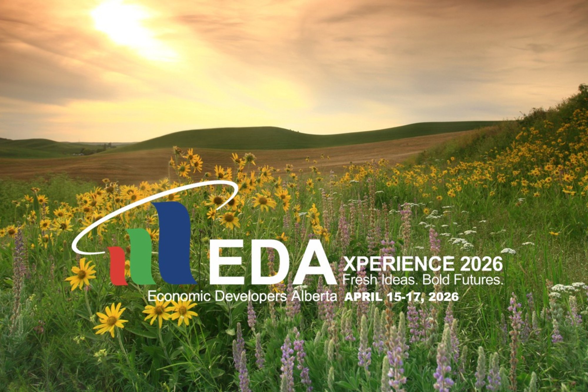 EDA Xperience